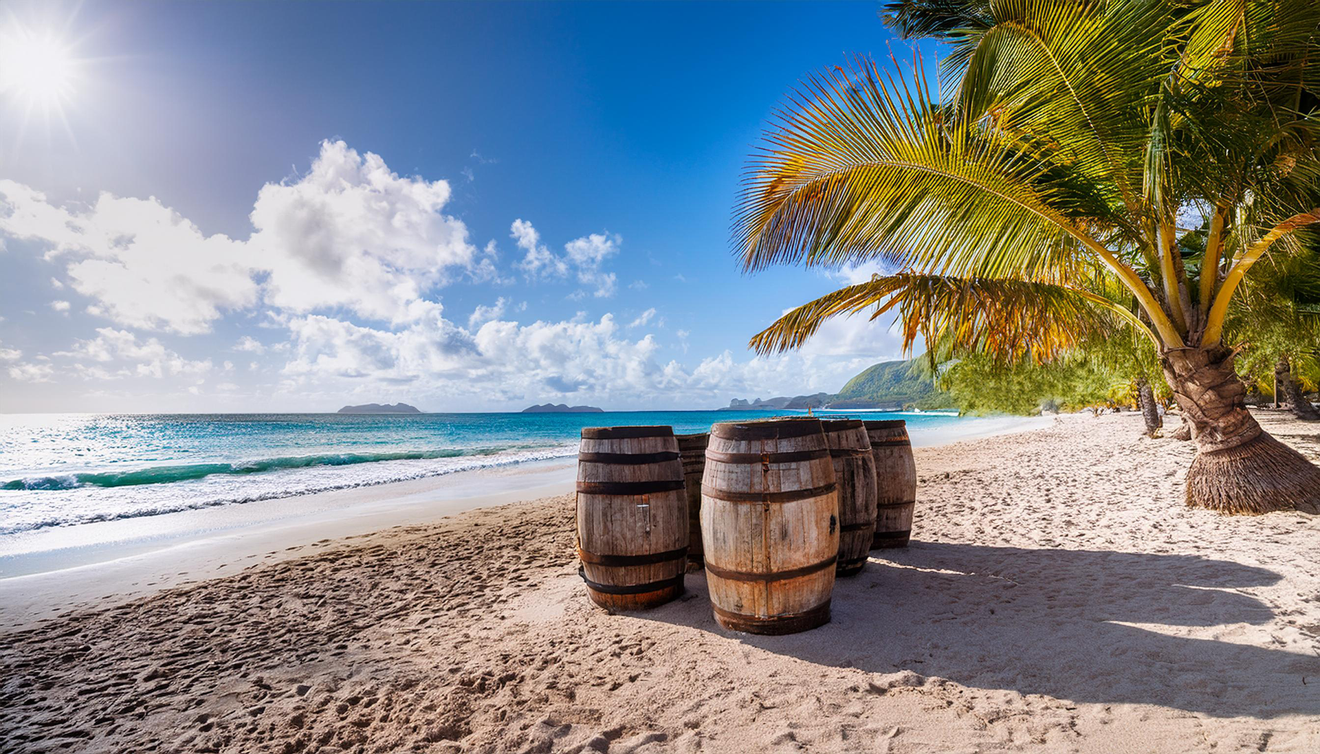 complete guide to rum